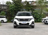 GS3 Midium
